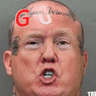 gangster_donald_trump