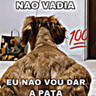 v4d1a