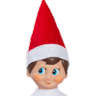 elf_on_the_shelf
