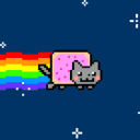 Gatinho