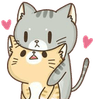 Catlove