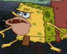 cavesponge