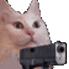 CatFireGun