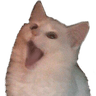 CatGasp