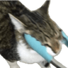 FOCatProngs