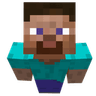 steve2