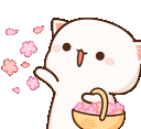 AMcatflowerpetals