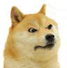 AngryDoge