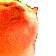BestRaveCat