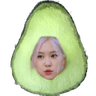 AvOcaDoooO