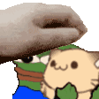 speedpeppoandcatpet