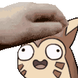 PatTheFurret