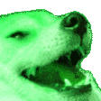 DogKekGreen