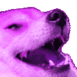 DogKekPink