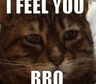 ifeelyou