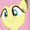 hh_flutterPls