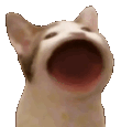 783044292389240914