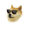 dreamdoge