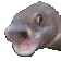 PoggersFish