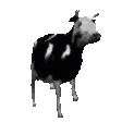 PolishCow