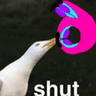 Shut
