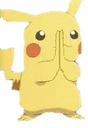 PikaPray