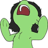 anonscreech