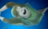 linkdrown