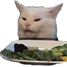 CatSalad