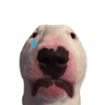 waltersad
