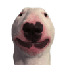 walterhappy