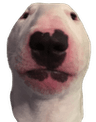 walter