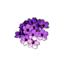 purpleflowers
