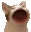 bop