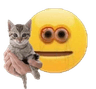 we_take