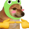simp_doge