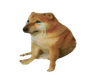 sad_doge