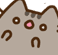 AMpusheenshock