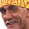 hogan