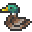 2015_Duck