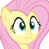 flutterkay