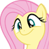 flutternice