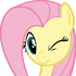 flutterwink