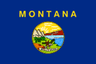 flag_mt
