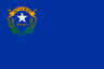 flag_nv