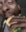 guy_eat