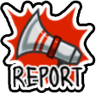 Imp_Report