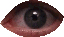 look_around