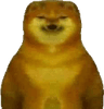 DogeMad