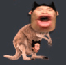 poggysaurusrex